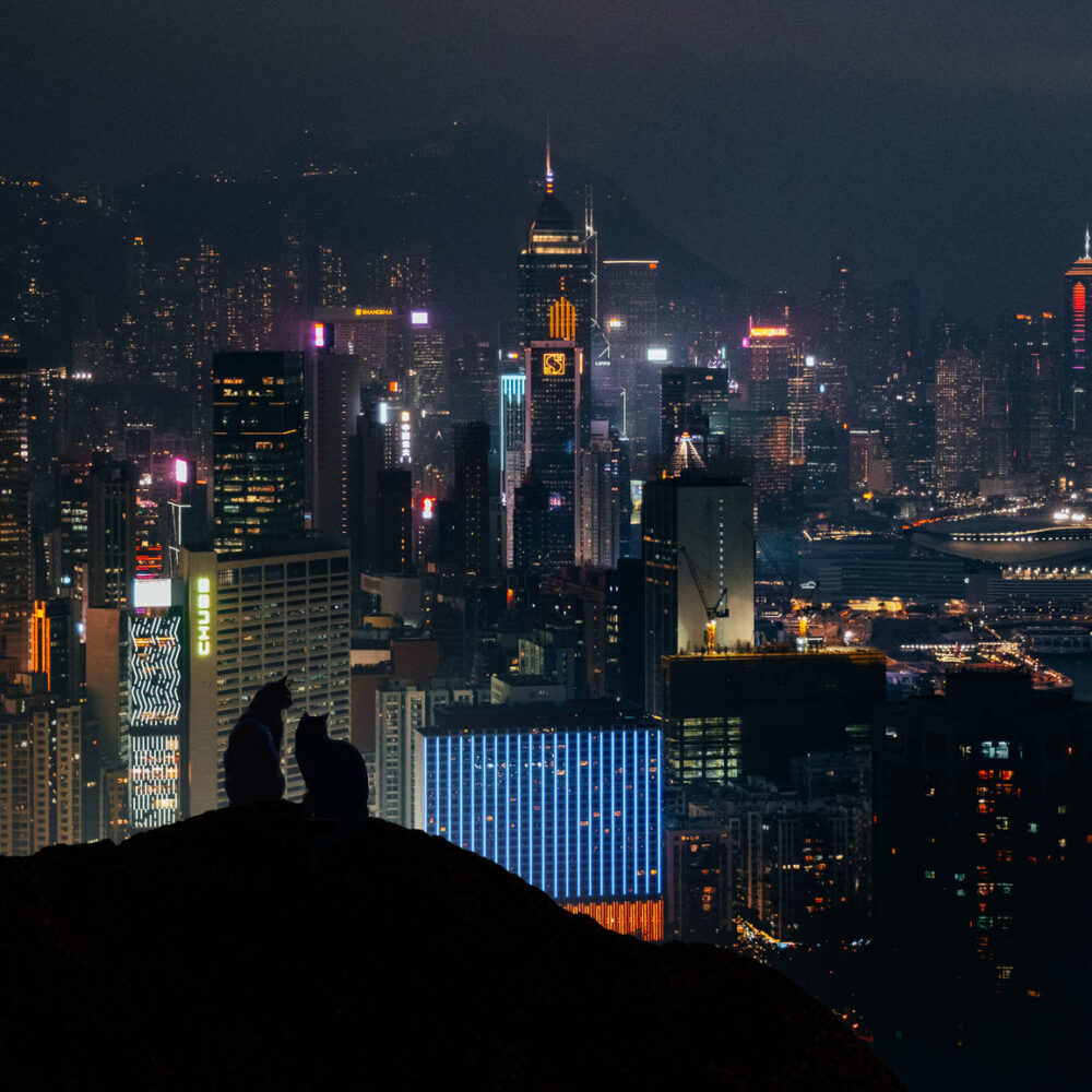 Hong Kong skyline at night