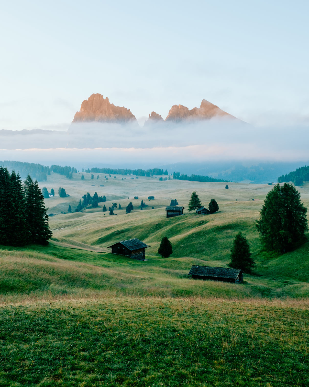 Alpe di Siusi in the italian dolomites